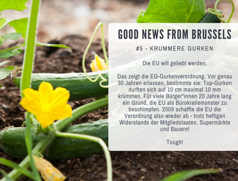 Good News from Brussels #5