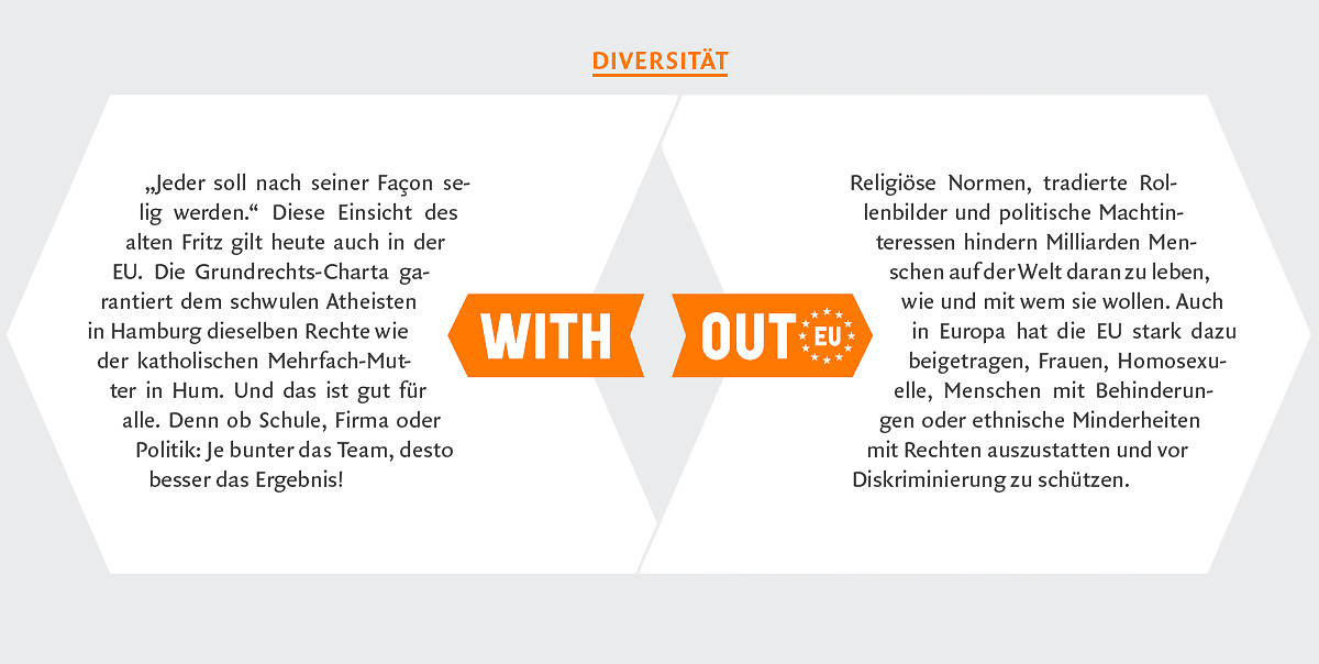# with_out EU Diversität 2