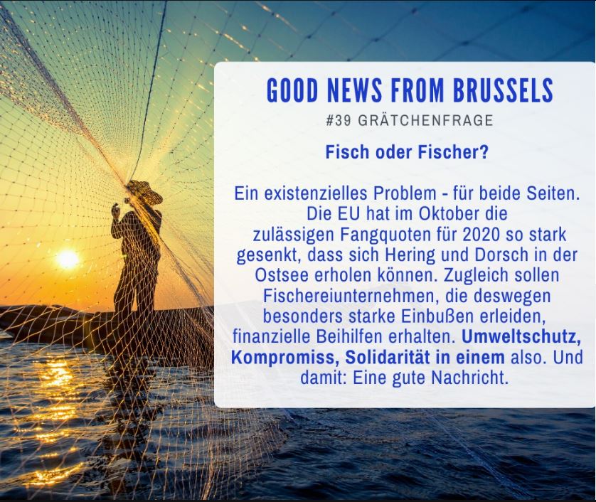 Good News from Brussels #39
